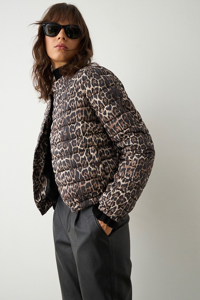 Leopard puffer