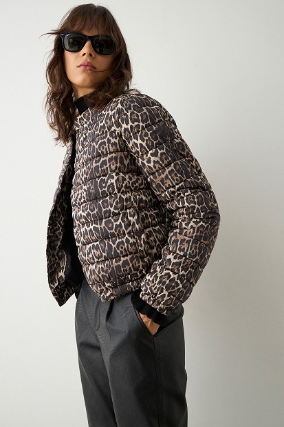 Leopard puffer