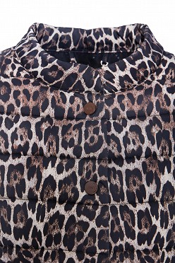 Leopard puffer